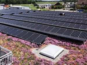 Contec: Gründach und Photovoltaik kombinieren