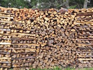 Preise vergleichen: Beim Kauf von Brennholz auf die Maßeinheit achten