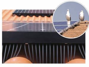 Rooftech: Taubenschutz für Solardächer