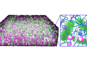 Mikrobielle Cyborgs: Bakterien als Stromlieferanten