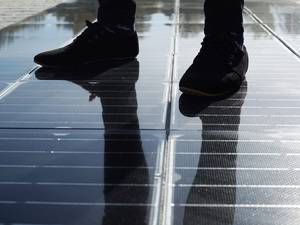 Photovoltaik der nächsten Generation: Solarstrom aus dem Boden