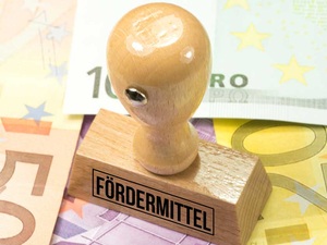 BEG: DEN-Positionspapier zum Bonus für Sanierungsfahrpläne
