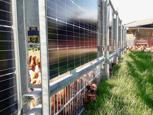 Agri-Photovoltaik: Weidezaun aus Solarmodulen