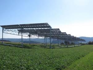 Leitfaden zur Agri-Photovoltaik erschienen