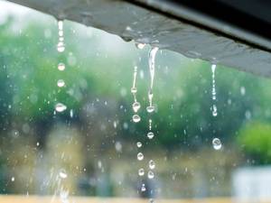 Regenwasserqualität: So funktioniert eine Risikoanalyse