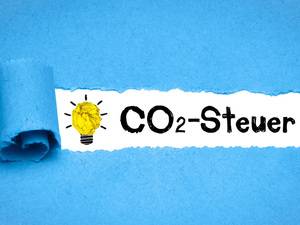 Deneff: CO₂-Abgabe soll in den Klimaschutz investiert werden