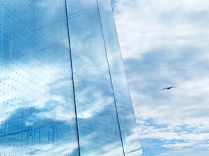 Himmel und Wolken spiegeln sich im Vogelschutzglas von Sedak
