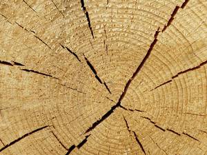 Rohrdurchführungen in Holzbalkendecken: Brandschutztechnisch wirksame Einbindung