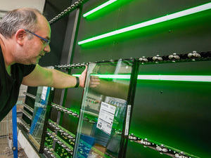 KI prüft bei Helmut Meeth Glasqualität: Hier übernimmt die künstliche Intelligenz de﻿n Glas-Check