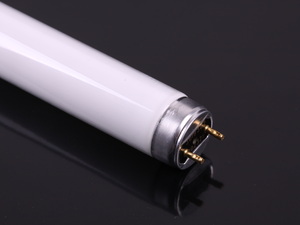 Leuchtstoffröhre