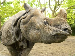 Dichtungen für den Zoologischen Garten in Berlin