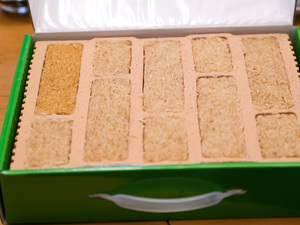 Buchenholzfasern als Ziegeldämmstoff