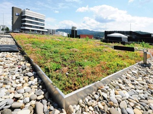 Richard Brink Gründach