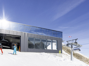 Vogelschlag vermeiden: Dieses Glas verhindert tödliche Kollisionen