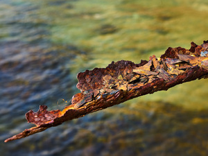 Energieeffizienz fängt beim Heizungswasser an