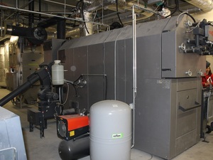 Erneuerbare Energien bei Sanierungsfällen, Teil 7: Biomasse
