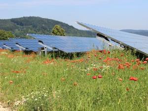 Der Solarausbau im Südwesten läuft gut – er muss aber noch einen Zahn zulegen. Solarpark Mooshof am Bodensee.
