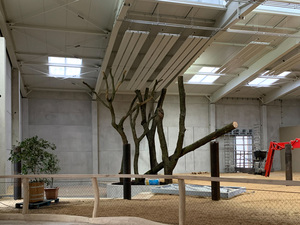 Elefantenhaus Cottbus RMBH Deckenstrahlplatten