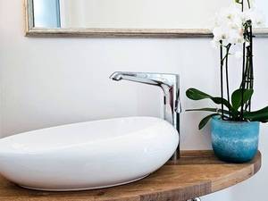 Schell xeris e large