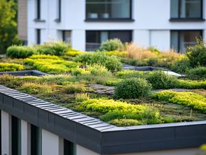 Bestandsgebäude begrünen: Potenziale, Chancen und Möglichkeiten