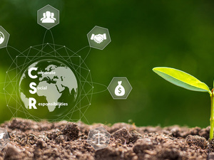 CSR Nachhaltigkeitskriterien ESG