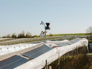 Das Fraunhofer ISE und die VOEN Vöhringer GmbH &amp; Co. KG haben PV-Module entwickelt, die leicht genug sind, um auf klassischen Witterungsschutzsystemen für Sonderkulturen aufge-bracht zu werden.