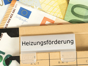 Warum der Wärme­pum­pen­hoch­lauf ge­fördert werden muss