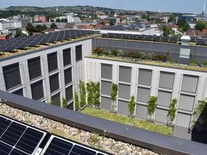 Begrünte Dächer und Fassaden verbessern das energetische Verhalten von Gebäuden.