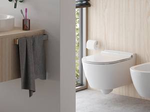 ECA Sapphire AquaWash WC