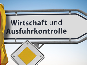BAFA wird mit der Umsetzung der E-Auto-Förderung betraut