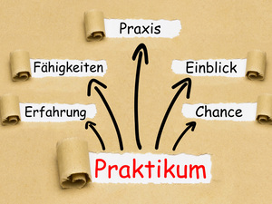 Nachwuchs sichern: 7 Tipps für den Umgang mit Praktikanten