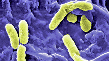 Warmwasser kühler betreiben dank Ultrafiltration: Was ist belegt – und was nicht?