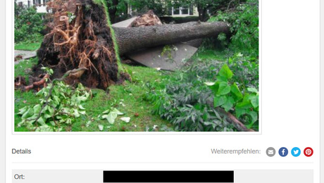 Schräg-Inserate: 34 Kleinanzeigen, die wirklich so auf ebay standen