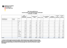 BEG Antragszahlen 2024