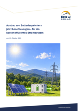 BSW-Positionspapier 15 Reformvorschläge