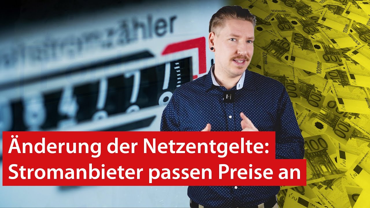 Strompreis: Netzentgelte neu verteilt & Steuerbare Verbrauchseinrichtungen | haustec NEWS