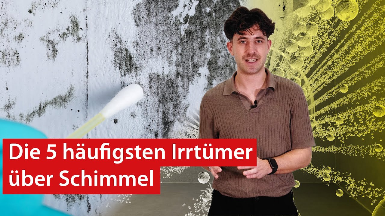 Die 5 häufigsten Irrtümer über Schimmel | haustec EDU